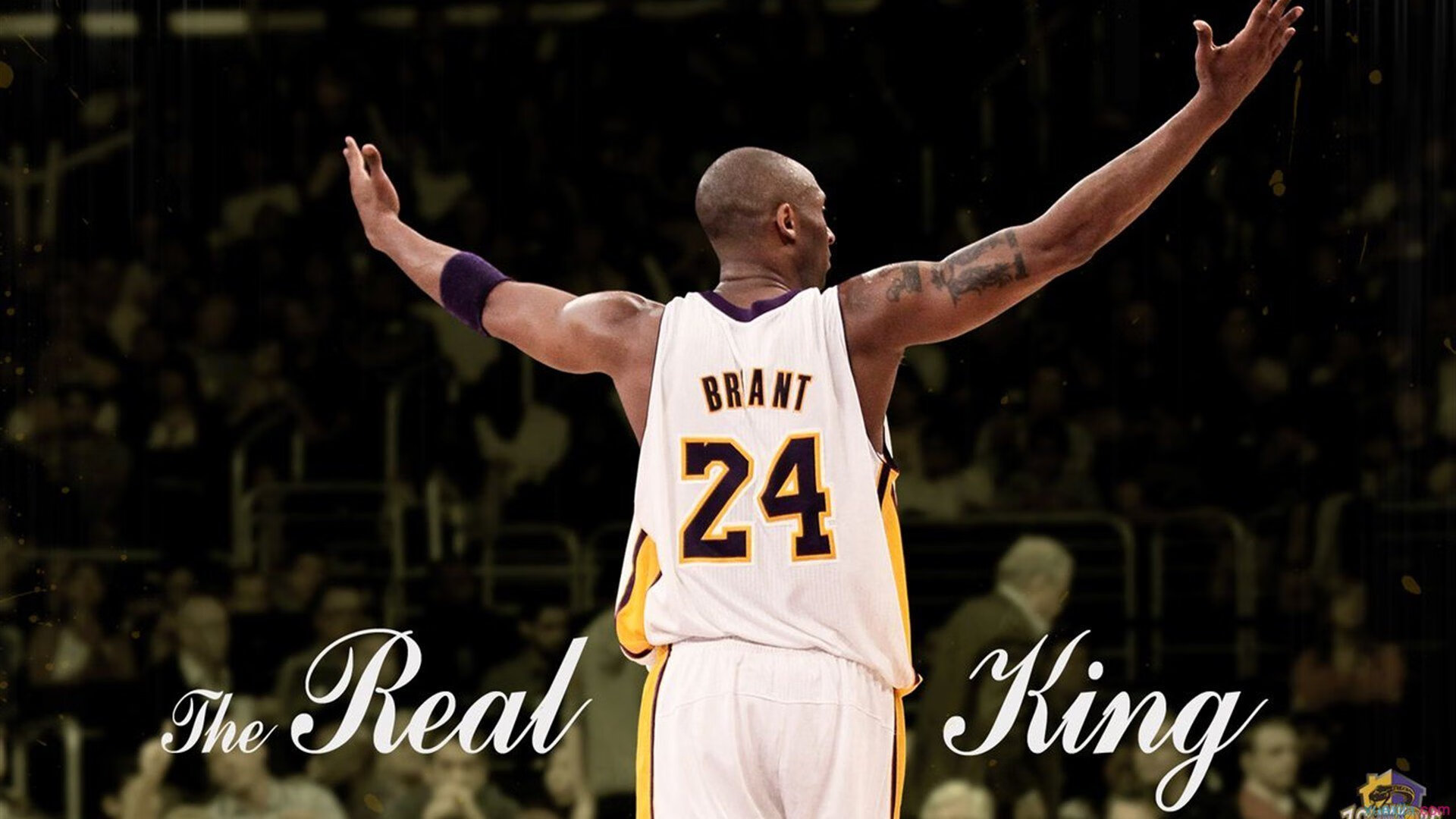 巴朗加国王防守端抢断次数增加,巴朗加国王防守端抢断次数增加多少